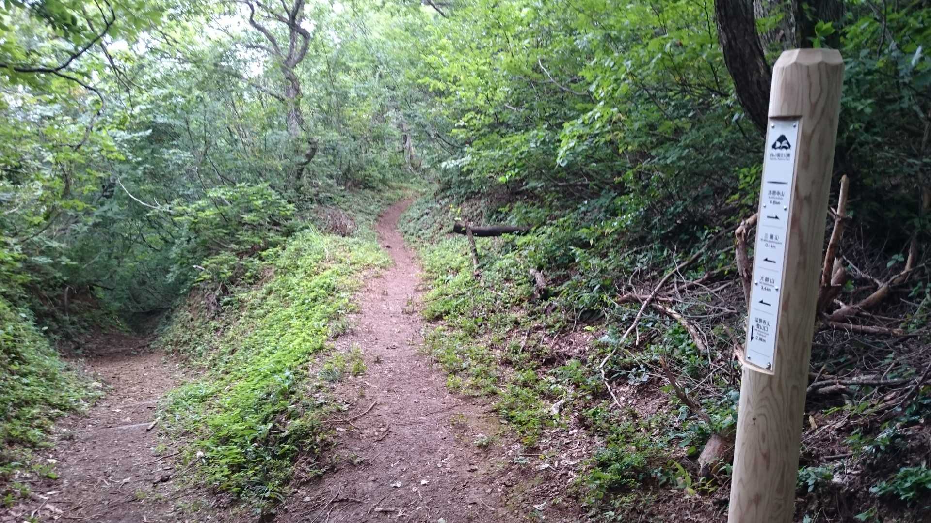左から登ってきて
右へ…