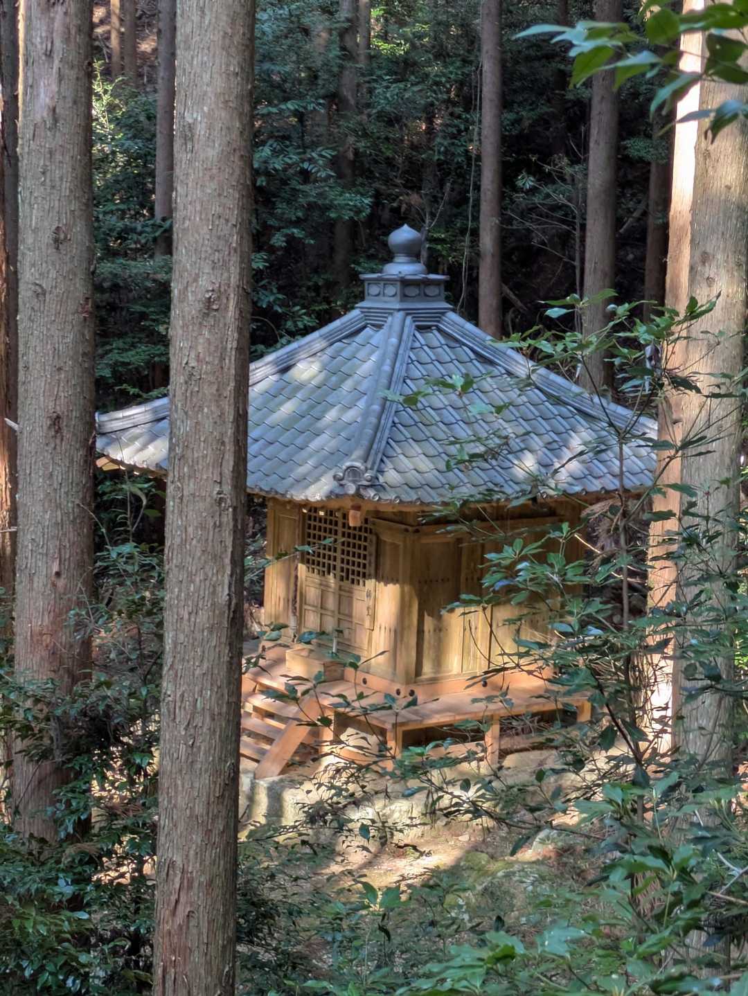 太子堂
木々の隙間から朝日があたりとても美しい