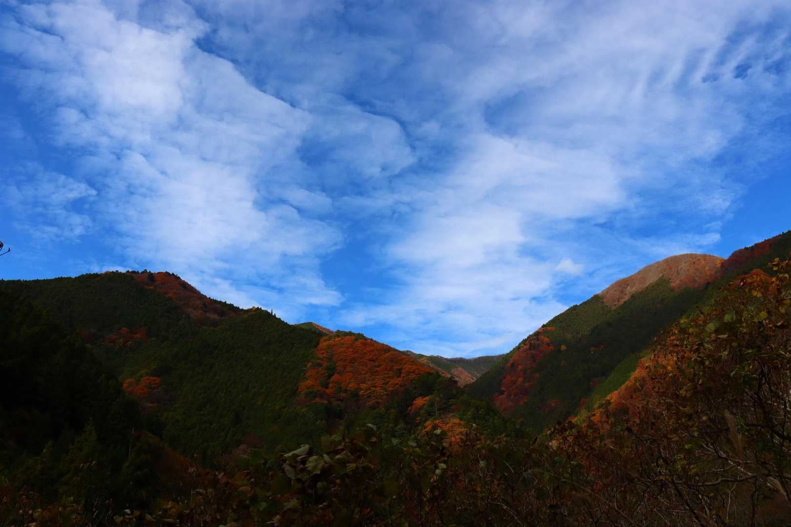 美しい空と紅葉。