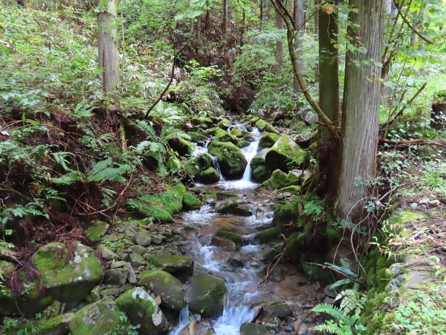 高屹山 往復コースの写真