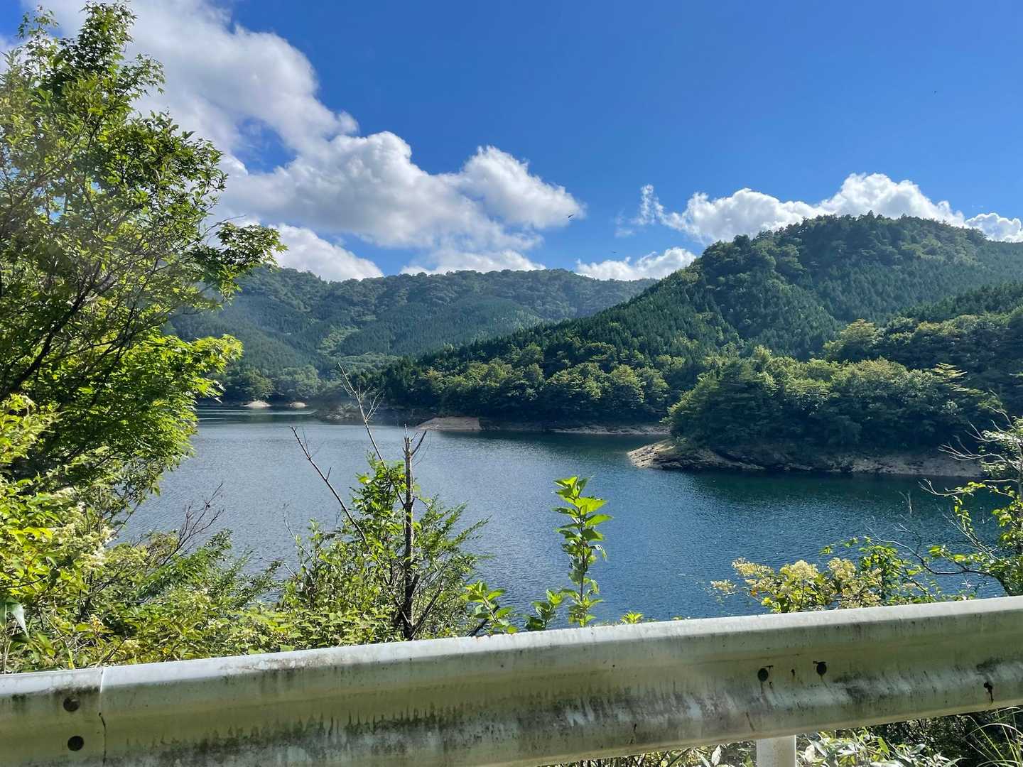 ダム湖まで下りてきた‼️