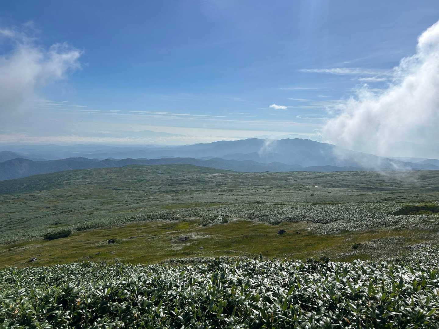 月山八合目往復 | 夏は残雪と花の楽園、秋は黄金に染まる草紅葉、四季折々の魅力の写真