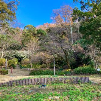 トロロのいない枚岡公園。さみしい。
