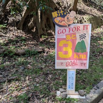 豚汁まで3キロ🤩
「追い抜かれ優先楽しんでます」🤣
死にかけてたのでこの応援で元気もらって
回復しました！
残り頑張ろうと必死に登りました