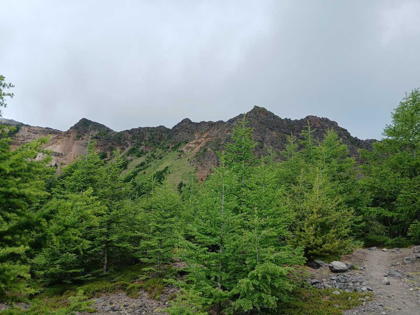カラマツの奥にこれから向かう黒斑山