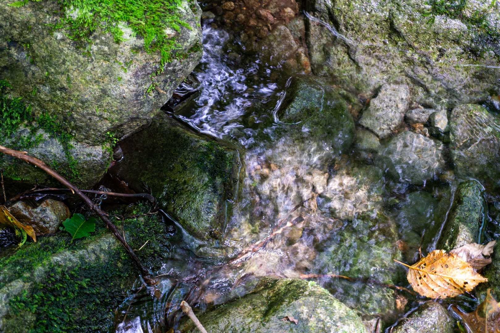 お水