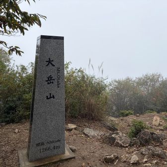 大岳山に到着！えぇ景色は期待してませんよ。っていうか降って来た