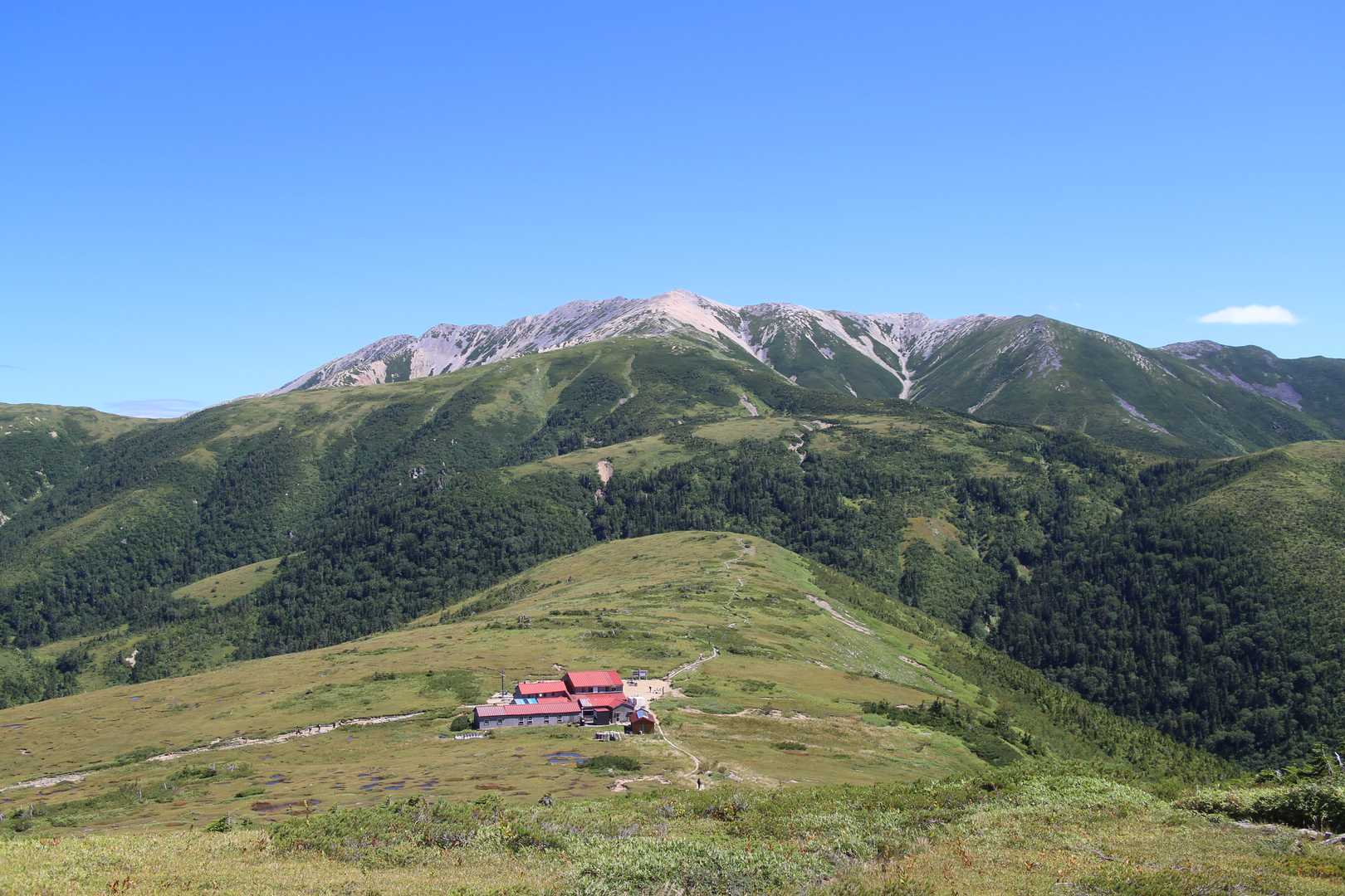 薬師岳登山口-五光岩ベンチ-北ノ俣岳 往復コースの写真