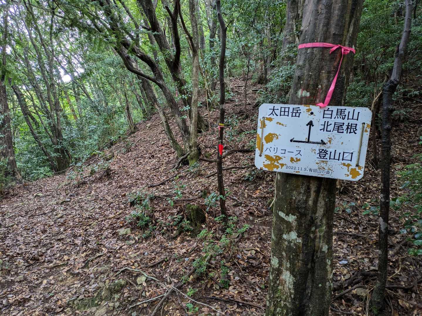 スタートから山を巻いて、ここより稜線まで直登