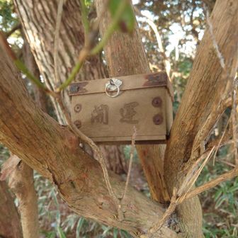 藪の中の西お多福山山頂付近