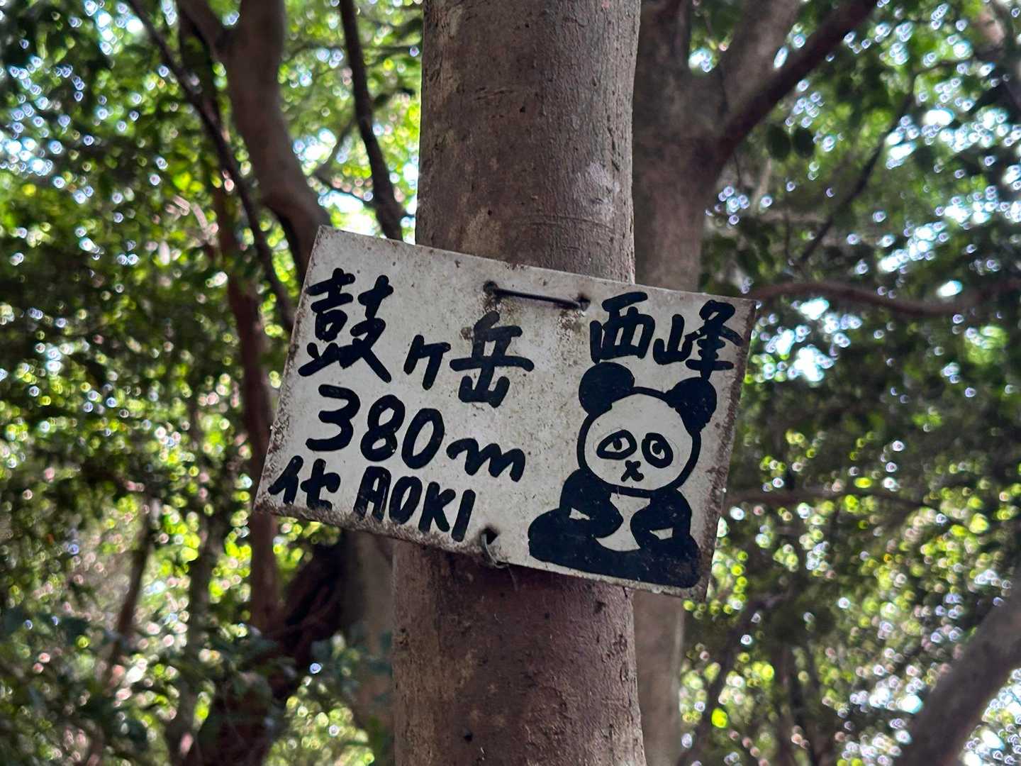 鼓ヶ岳西峰-鼓ヶ岳 往復コースの写真