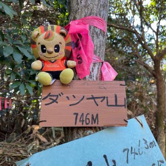 あのプレート🦁