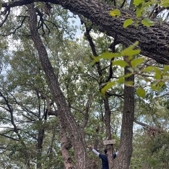 山頂で食べる塩むすび🍙は、最高