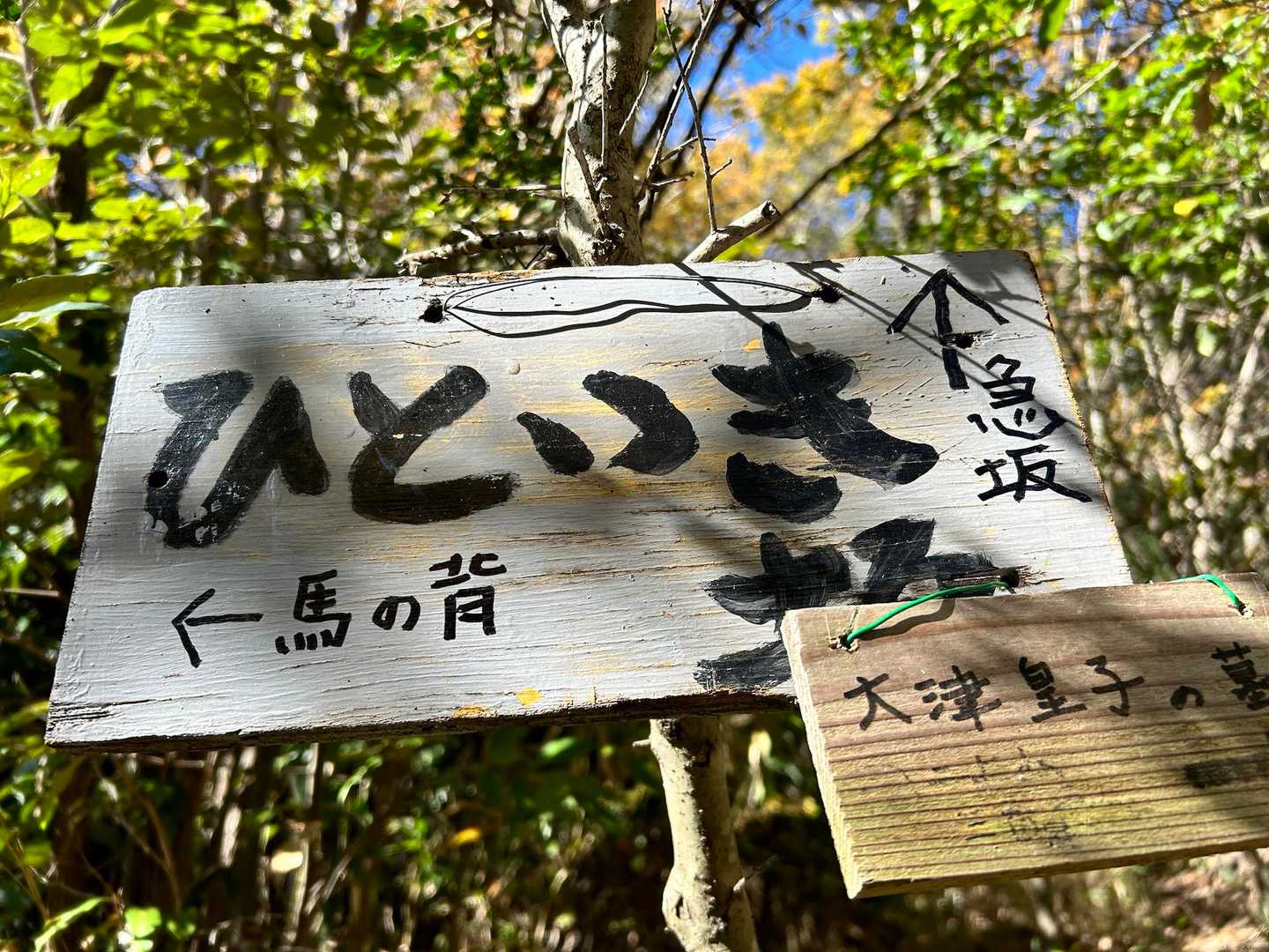 大岩からは急坂をどんどん登るよ〜。

ここの急坂は「ほんまに二上山⁉️」って思う。
ある意味、楽しなってくる😆