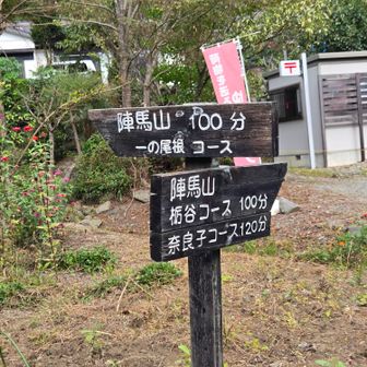 一ノ尾根ルートで行く