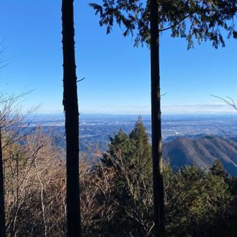 ここは眺望あり。遠くに筑波山やスカイツリーが見えました。冬は視界がよくいいですね。