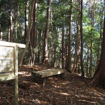 ここを左側に入ります