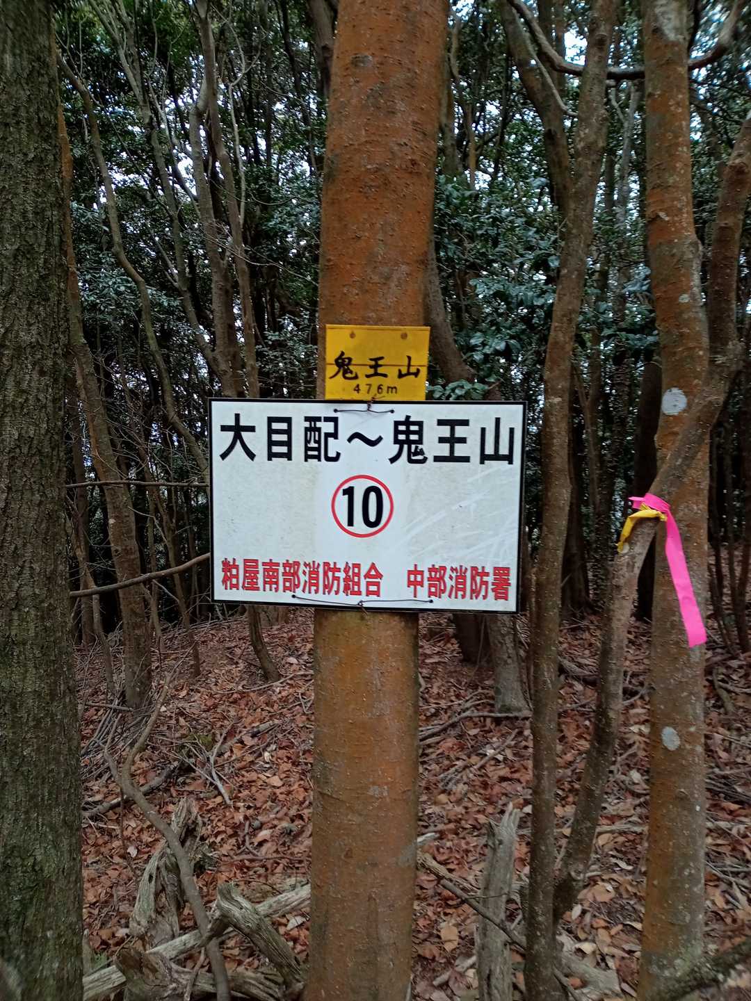 鬼王山の写真