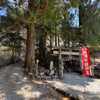 アシメが復活して行く気なので
大洞山を目指してみる事にします
真福院は帰りにゆっくり立ち寄る事にして
横から抜けて登山口まで進みます