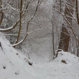 バードラインで下山してみる。