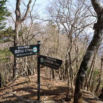 要所小屋ノ頭
道標の奥に進むこともできるので、ここはまた今度。