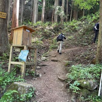 登山口
駐車場🅿️にトイレなし。
