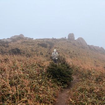 インディアン平原