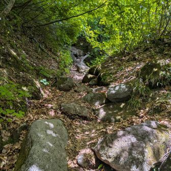 さわやかな登山道