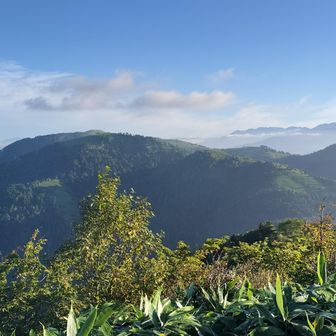 振り向けば【神坂山】や【富士見台】が一望。右奥は南アルプスかな