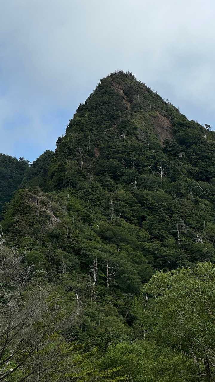 皇海山（鋸山周回）、日帰り最難関 の写真 28