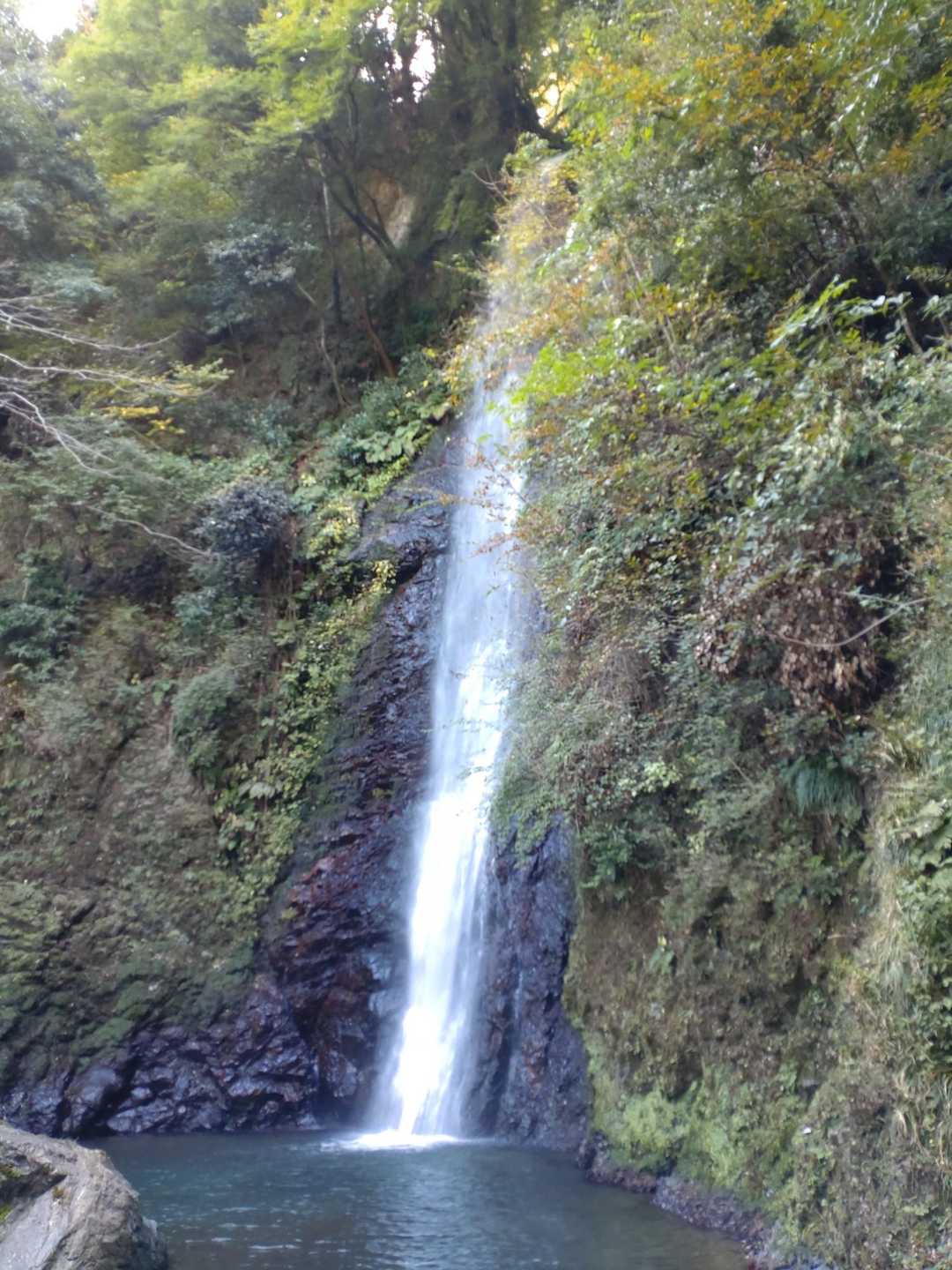 養老の滝で和んで終了