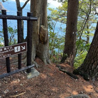 下に降りられるようなので行ってみます。