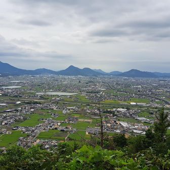 田んぼが広がっていていい眺め