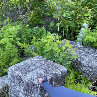 三角点タッチ
奥に国土地理院の三角点柱もあり