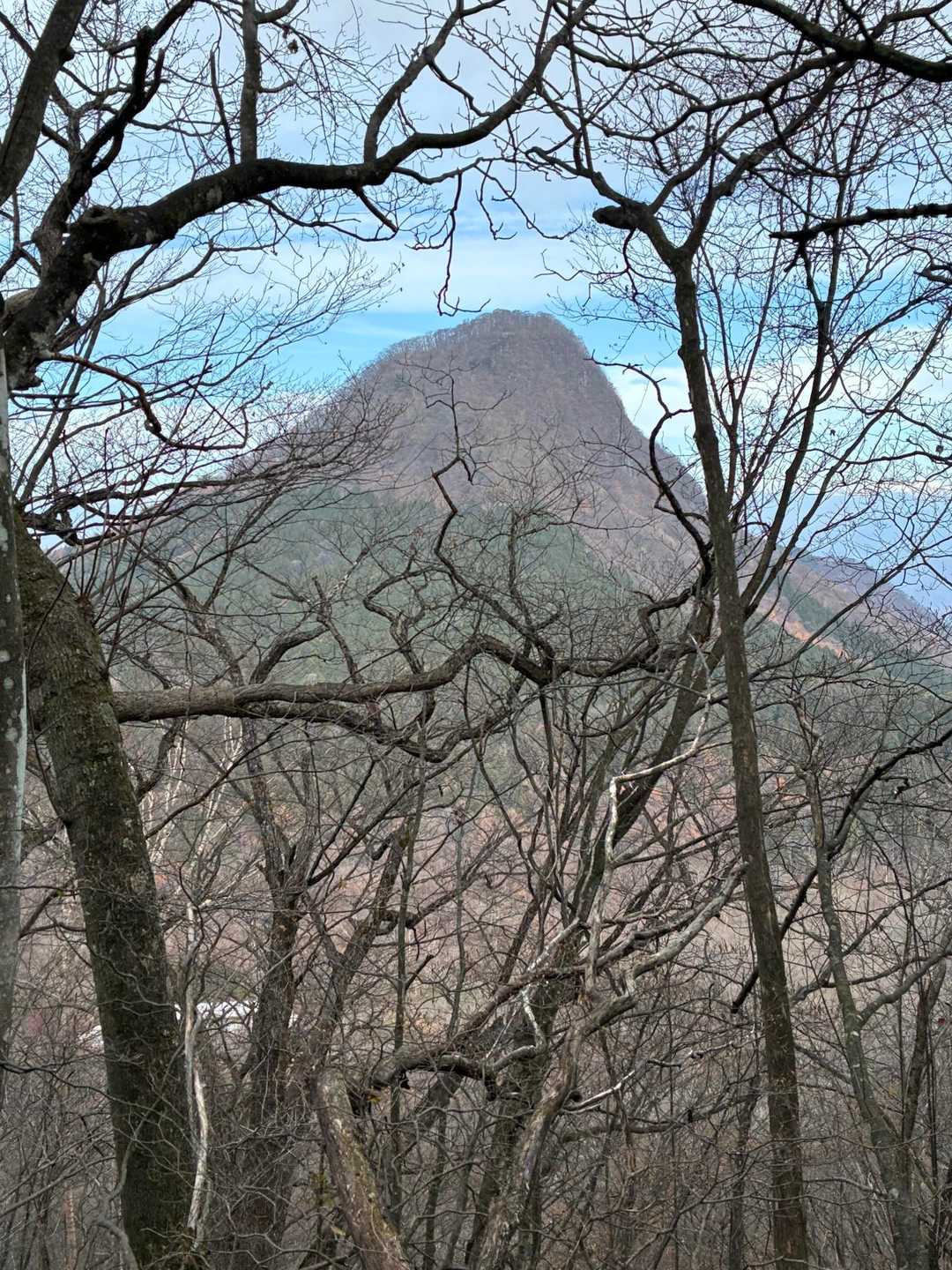 雑木の向こうに烏帽子ヶ岳⛰️

榛名富士を下山して行きますからぁ🥾
