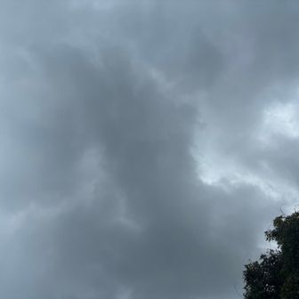 涼しい風が吹くと思ったら暗い雲
ザーッと来ないといいな