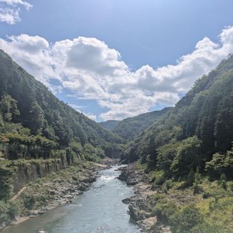 橋の真ん中から上流を臨んだ景色🏞️
正面から風を受けて涼しい🍃