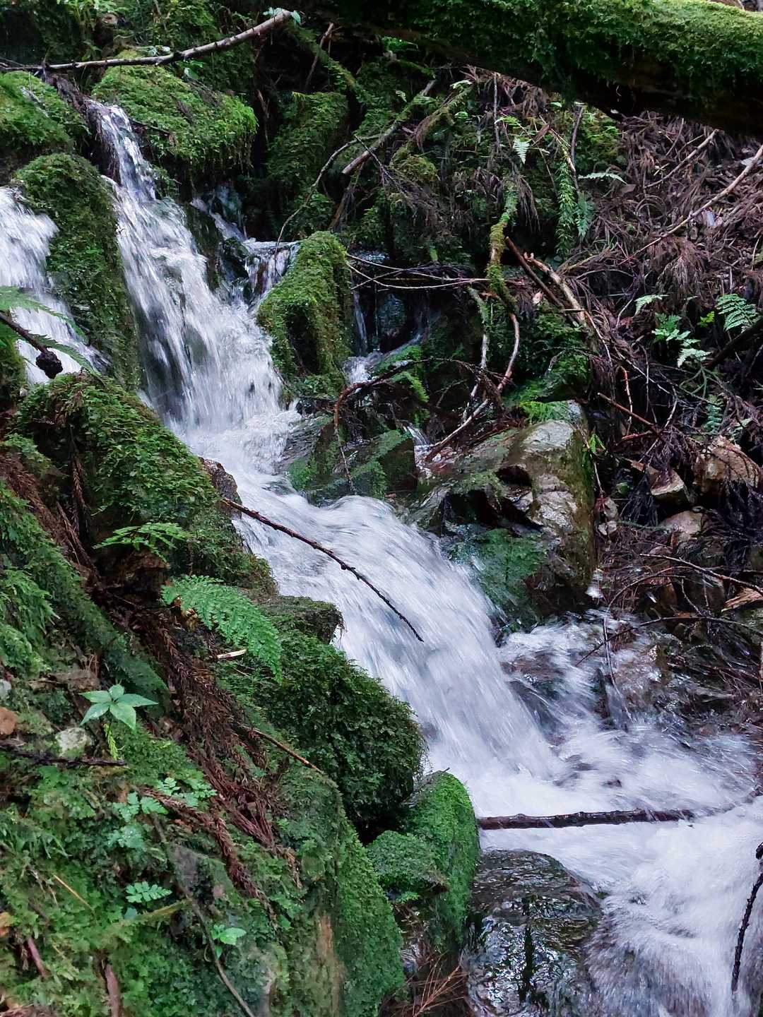 ここの山は幾つもの沢が流れ落ちていた