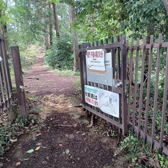 堰提出口ゲートももちろん空いてる