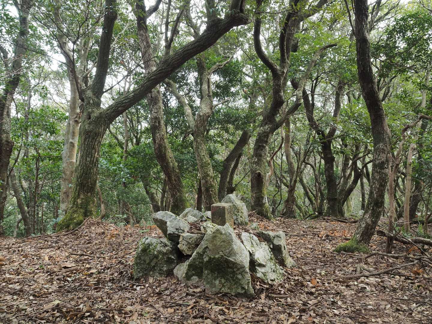 馬山登り口-馬山-馬山登り口-切原浅間山登り口-切原浅間山 縦走コースの写真