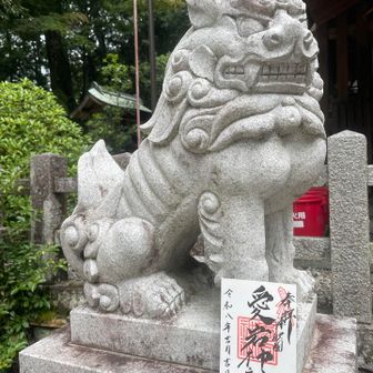 愛宕神社で御朱印を頂きます
こちらは元愛宕とも呼ばれ愛宕山にある神社の本宮になるとのことです⛩️
