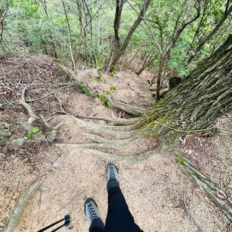 茄子石山へ向かう道はかなり急坂を降ります