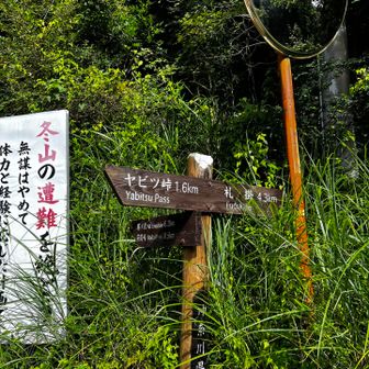 グリーンカレー目当てに頑張る。