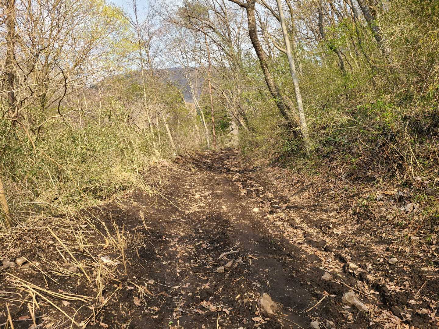 登山道が…悲しい事になってる
(｡•́ - •̀｡)うぅ…