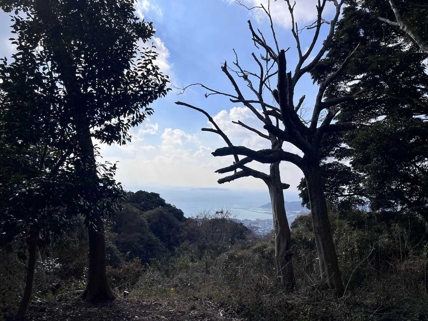 眺望はこれだけ。