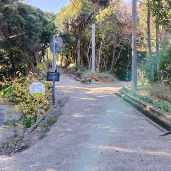【場所が変わりまして…ここから先山ｾﾝｻﾞﾝ⛰️】

先山ｾﾝｻﾞﾝ⛰️登山口①