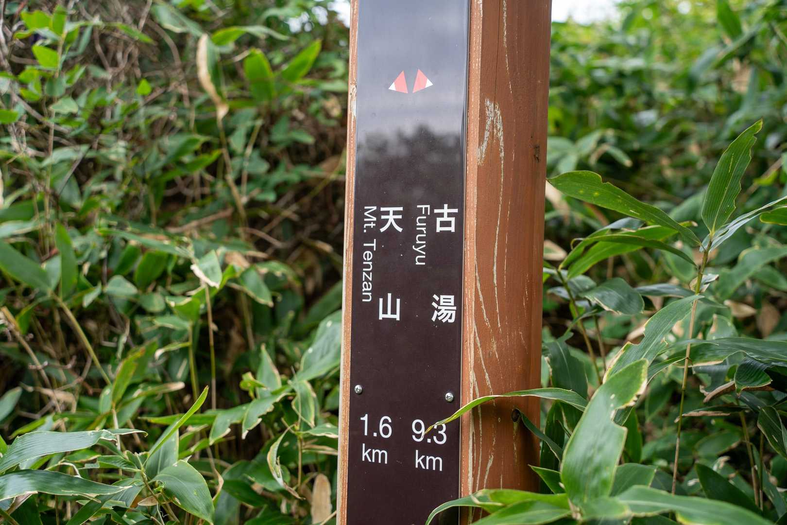 道標はしっかりしていて安心ロード。