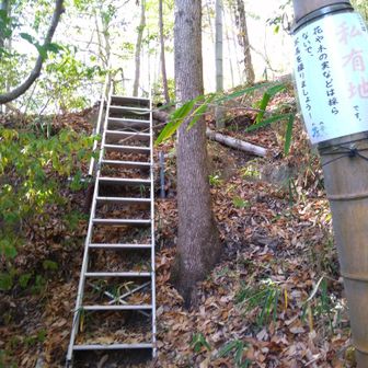 階段ハシゴあり。
「私有地です」の表示にドキッとしましたが、「写真を撮りましょう」って良い地主さんですね。