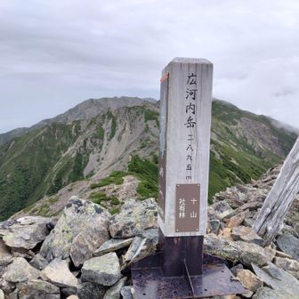 ドサクサ紛れの帰りがけ駄賃に広河内岳登頂！
したたかに雨降ってきてズブ濡れに
即時折り返し