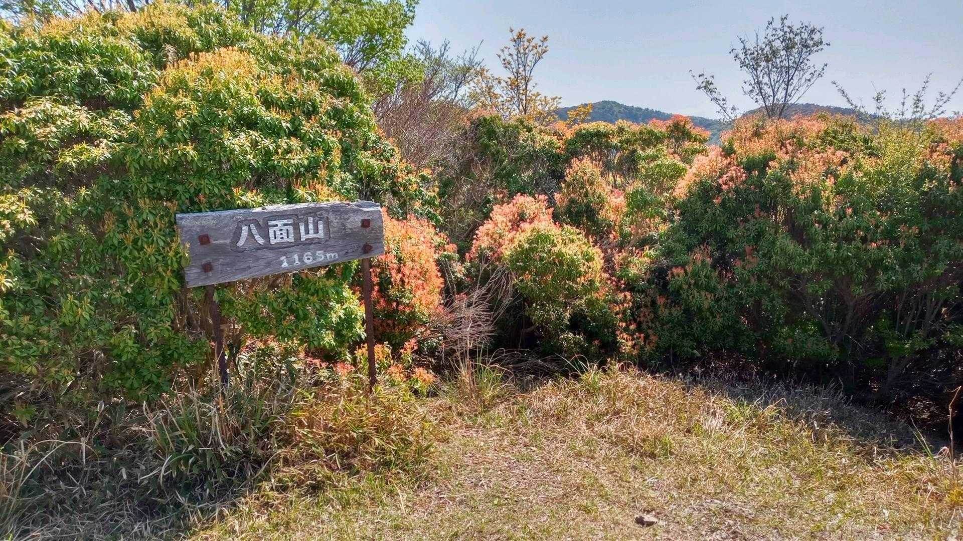 八面山山頂…展望無し！